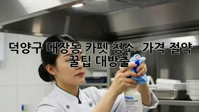 덕양구 대장동 카펫 청소 ✨ 가격 절약 꿀팁 대방출!