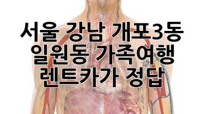 서울 강남 개포3동 일원동 가족여행? 렌트카가 정답!