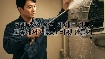 카펫 청소 완벽 가이드: 강릉 교동에서 깨끗한 카펫 만들기 ✨