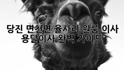 당진 면천면 율사리 원룸 이사, 용달이사 완벽 가이드!